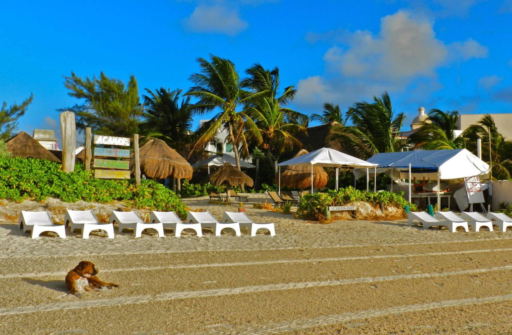 Acamaya Reef Cabanas Puerto Morelos Exterior photo